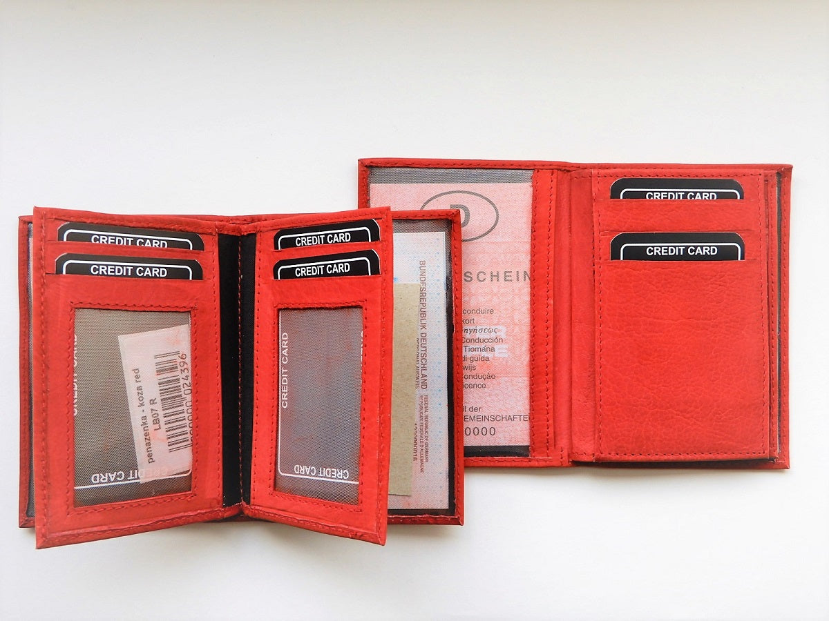 Karten- und Ausweismappe in Rot