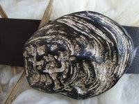 Bild in Galerie Ansicht laden, Auster Gürtelschließe
